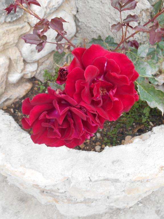 مبيت وإفطار Bédoin Le Mas Des Baux المظهر الخارجي الصورة