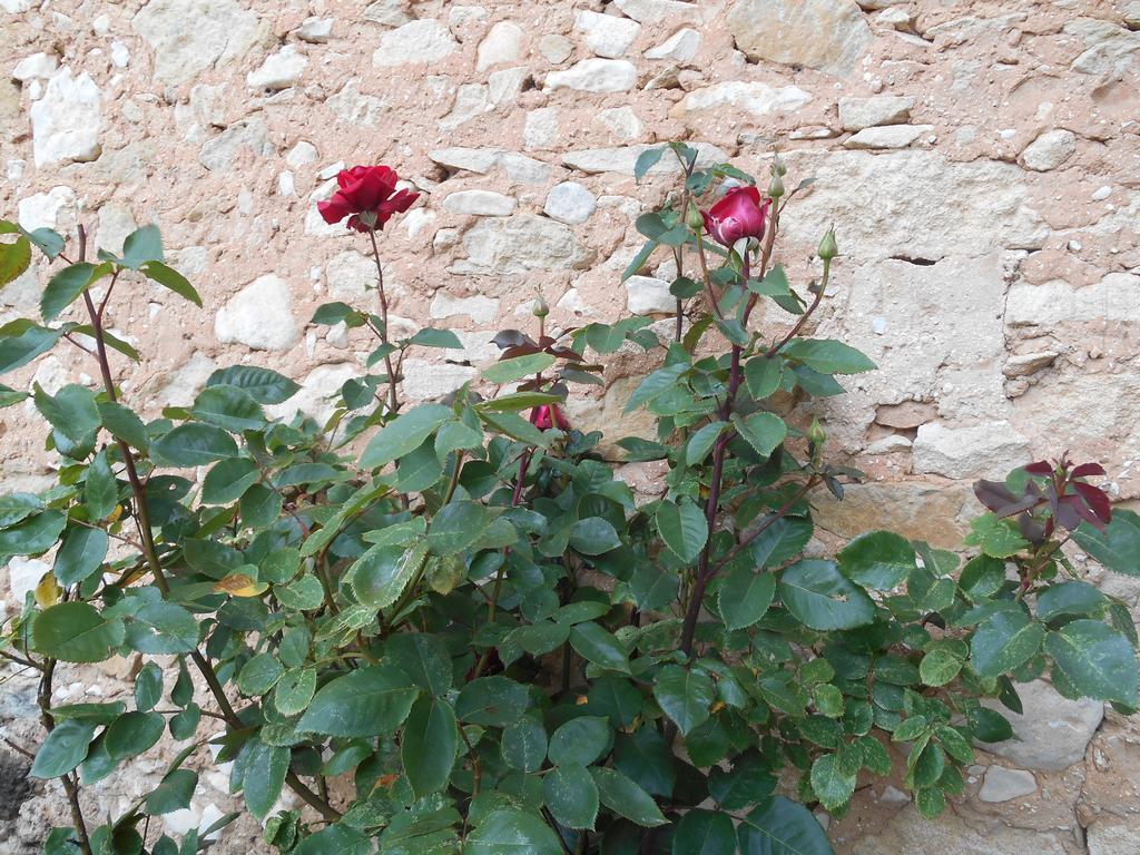 مبيت وإفطار Bédoin Le Mas Des Baux المظهر الخارجي الصورة