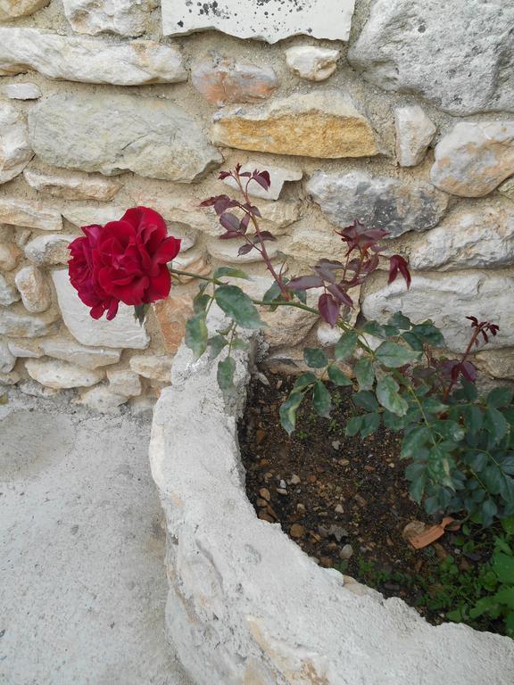 مبيت وإفطار Bédoin Le Mas Des Baux المظهر الخارجي الصورة