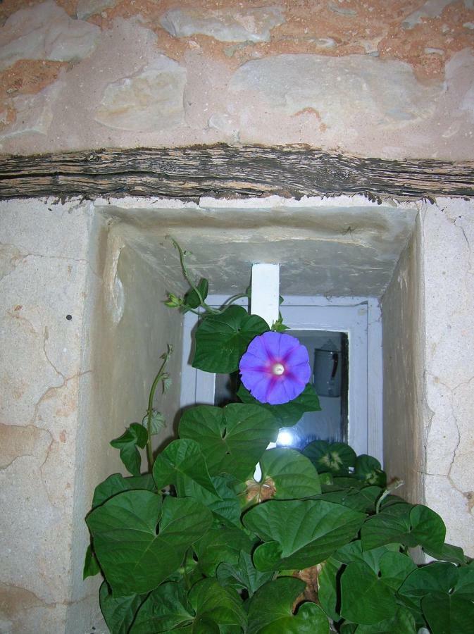 مبيت وإفطار Bédoin Le Mas Des Baux المظهر الخارجي الصورة